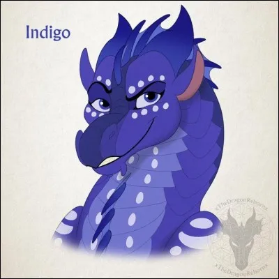 Ta meilleure qualité est :