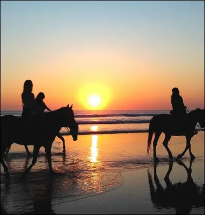 Quelle allure préfères-tu ?