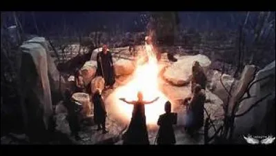 Que sont-ils en train de faire ?