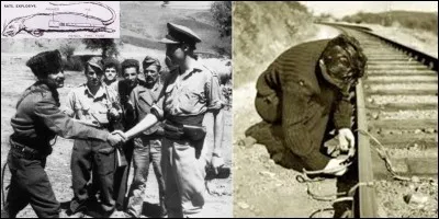 Suivant Churchill, le SOE (Special Operations Executive) devait « mettre le feu à l'Europe » (And now, set Europe ablaze !). Pour cela, cet organisme créa des armes assez « spéciales » ! Parfois, ce furent des échecs. Ce ne fut pas la seule action du SOE.
Quelle arme assez « spéciale » fut créée par le SOE ?