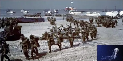 Continuons à parler du choix des noms des plages du Débarquement en Normandie. Le nom d'une des plages n'a pas plu au Premier ministre, Winston Churchill. Il exigea son changement considérant que ce nom ne devait pas entrer dans l'histoire !
Quelle est cette plage ?
Quelle en est la raison ?