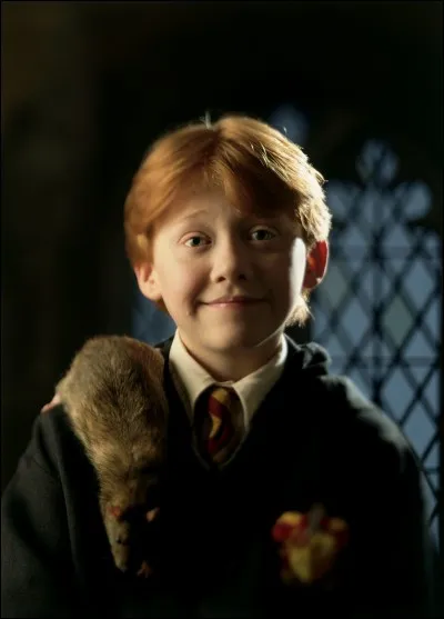 Quel est le nom complet de Ron Weasley ?