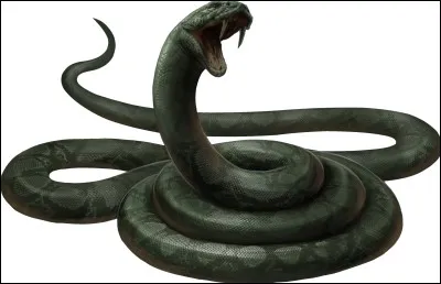 Qui a tué Nagini ?