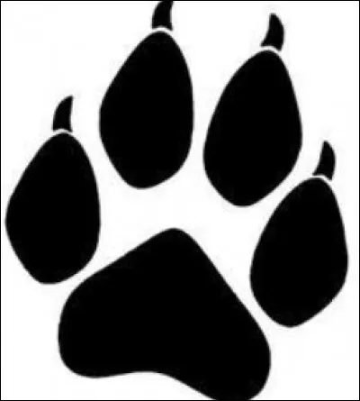 Je suis une trace de :