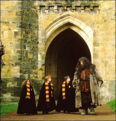 Quel personnage ne jette aucun sort avec sa baguette dans ''Harry Potter à l'école des sorciers'' ?