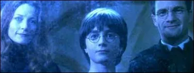 En quelle année sont morts les parents de Harry Potter ?