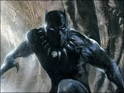 Il vient du Wakanda