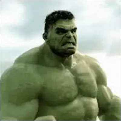 Le nom de Hulk est Brice Banner