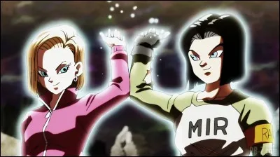 La qualit&eacute; morale qui te correspond le plus est :