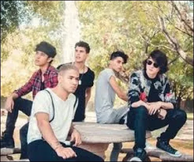 Quand sont-ils venus à Paris pour le concert ?