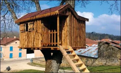 Quel est cet objet ?