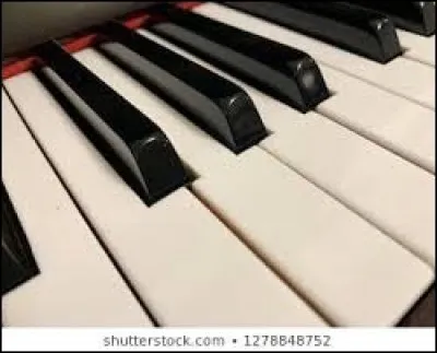 Quel duo interprétait ''Ebony and Ivory'' ?