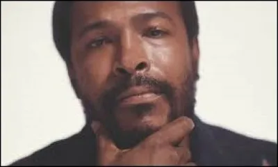 Comment est mort Marvin Gaye, l'interprète de ''Sexual Healing'' ?