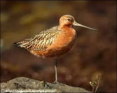 Quelle est cette commune de l'Ariège qui comptait 118 habitants au recensement de 2007 ?