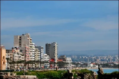 Ville du Liban, ancienne cité phénicienne assiégée par Alexandre le Grand :