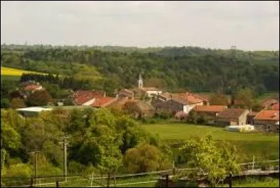 Sachant que Griscourt est un village Meurthois, laquelle de ces propositions est fausse ?