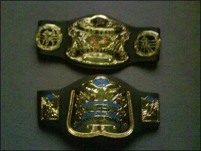 Les ceintures en doublettes unifi :