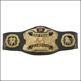 World tag team championship :