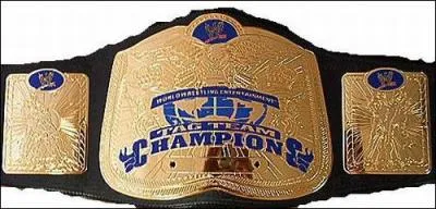 Wwe tag  team championship :