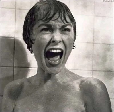 On peut voir la célèbre séquence du meurtre sous la douche dans le film d'Alfred Hitchcock...