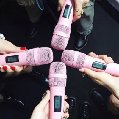 Quel est le titre de leur premier album-single ?