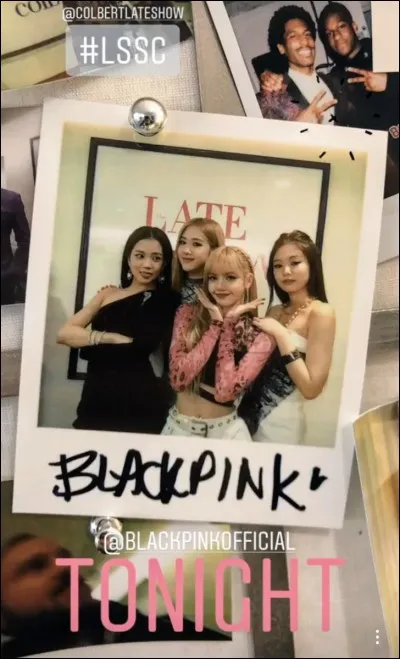 Comment s'appellent les 2 "séries" où on peut découvrir leur 'quotidien' ?