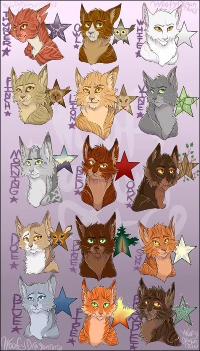 Qui es le 11e chef du clan du Tonnerre ?