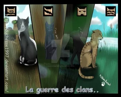 Combien de vie reçoivent les chefs ?