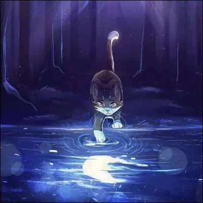 Où les chef reçoivent-ils leur vies ?