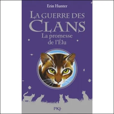 Et celui d'Étoile de Sapin ?