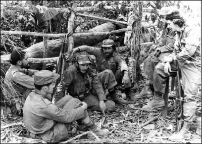 Les rebelles débarquent au sud-est de l'île. Dans quel massif montagneux se cachent-ils ?