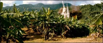 Sous quel nom est connue l'opération militaire lancée en été 1958 par le gouvernent cubain visant à combattre l'armée révolutionnaire ?