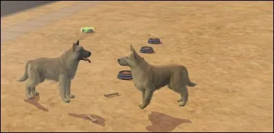 Est-ce qu'on autorise les formes artificielles en ce modèle ?