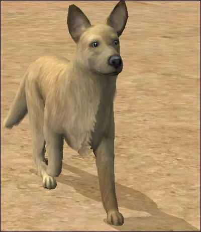 Longue vie aux variabilis, ce qui signifie "chien unique", et qui ne doivent jamais appartenir...