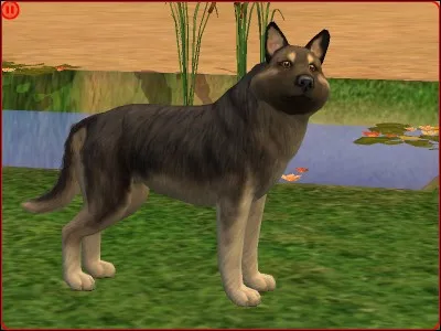 Quelle est la lutte des éleveurs healthy ?