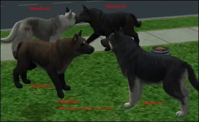 Quel est le plus important, dans l'ordre des priorités ?