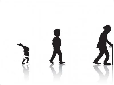 À quelle période de la vie correspond l'âge bête ?