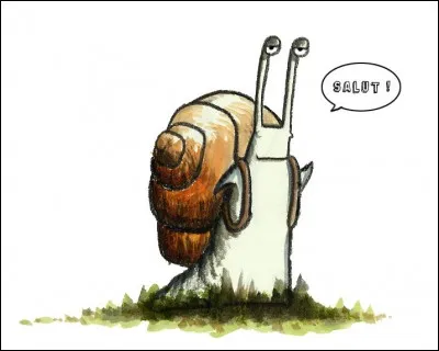 "Bête à cornes'' est un des surnoms de l'escargot. Quel est le nom de l'élevage des escargots comestibles ?