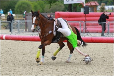 Quel sport se joue à cheval avec un ballon ?