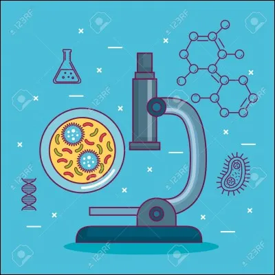 Où peut-on trouver l'étamine ?