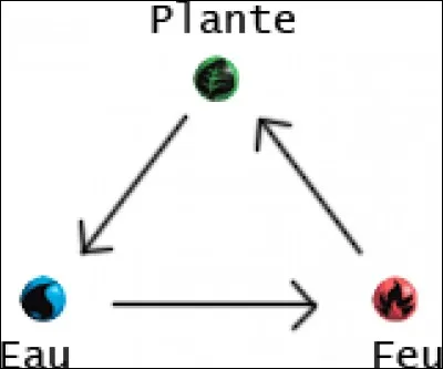 De quel type Barbara est-elle spécialiste ?