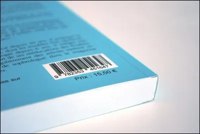 Quel est le nom du héros du roman "Le Procès" de Franz Kafka ?