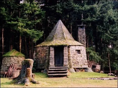À qui appartient cette maison dans Harry Potter ?