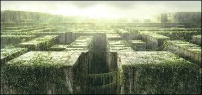 Dans quel film voit-on ce labyrinthe ?