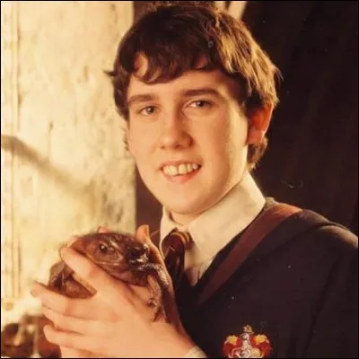 Comment s'appelle le crapaud de Neville ?