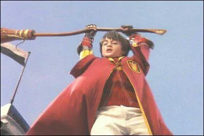 Quel professeur a essayé de tuer Harry lors de son premier match de quidditch ?