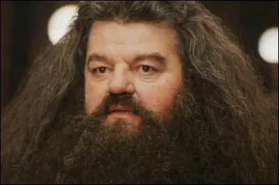 Quel est le premier cadeau que Hagrid a offert à Harry ?