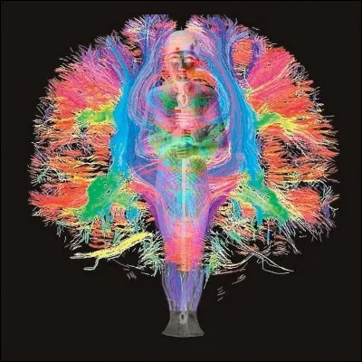 Dieu créateur par excellence, protecteur des artisans vénéré principalement à Memphis. qui est-il ?