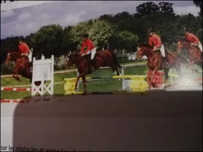 Comment s'appellent ces obstacles ?