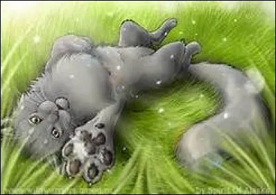 T2 : qui est le grand amour de Plume Grise ?